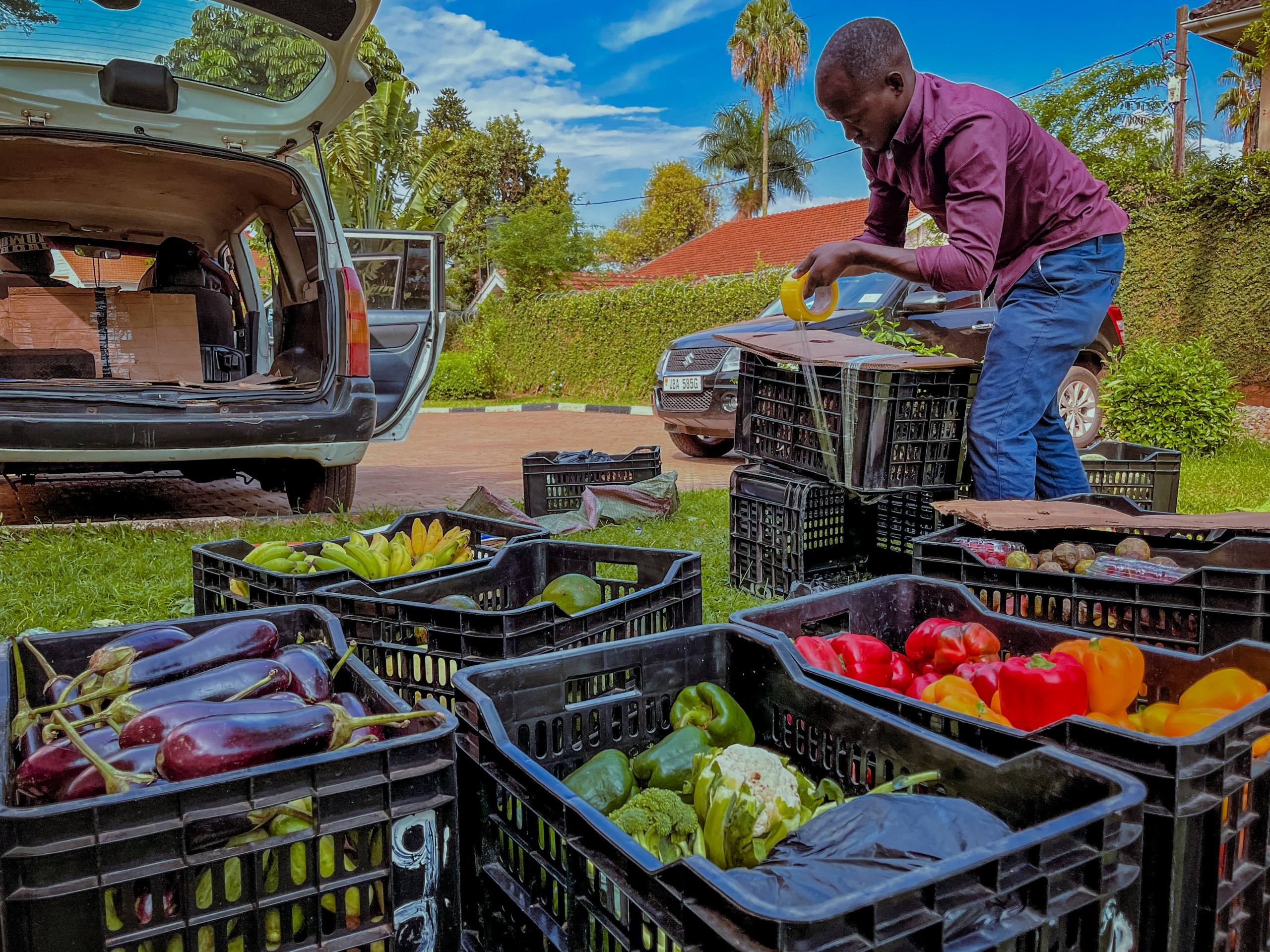Agropreneur / MACCA